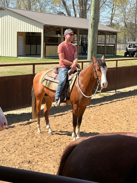 Working Cow Horse Clinic — participants learning to read cattle