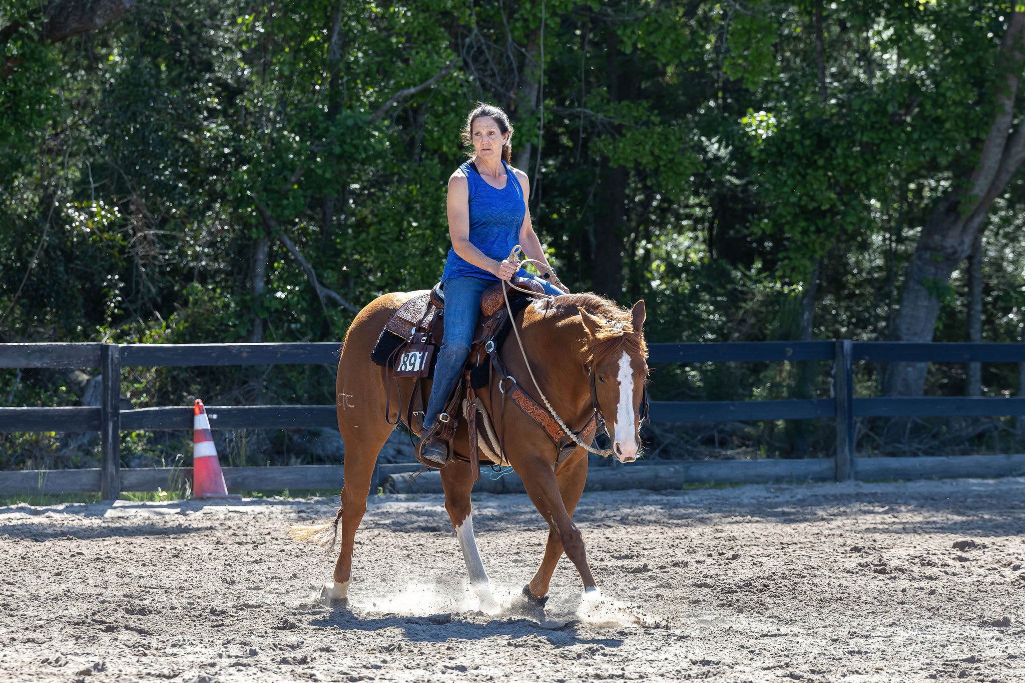 Western reining — precision and athleticism in the arena