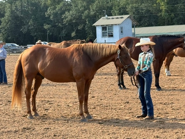 Ranch versatility competition at Mill Creek