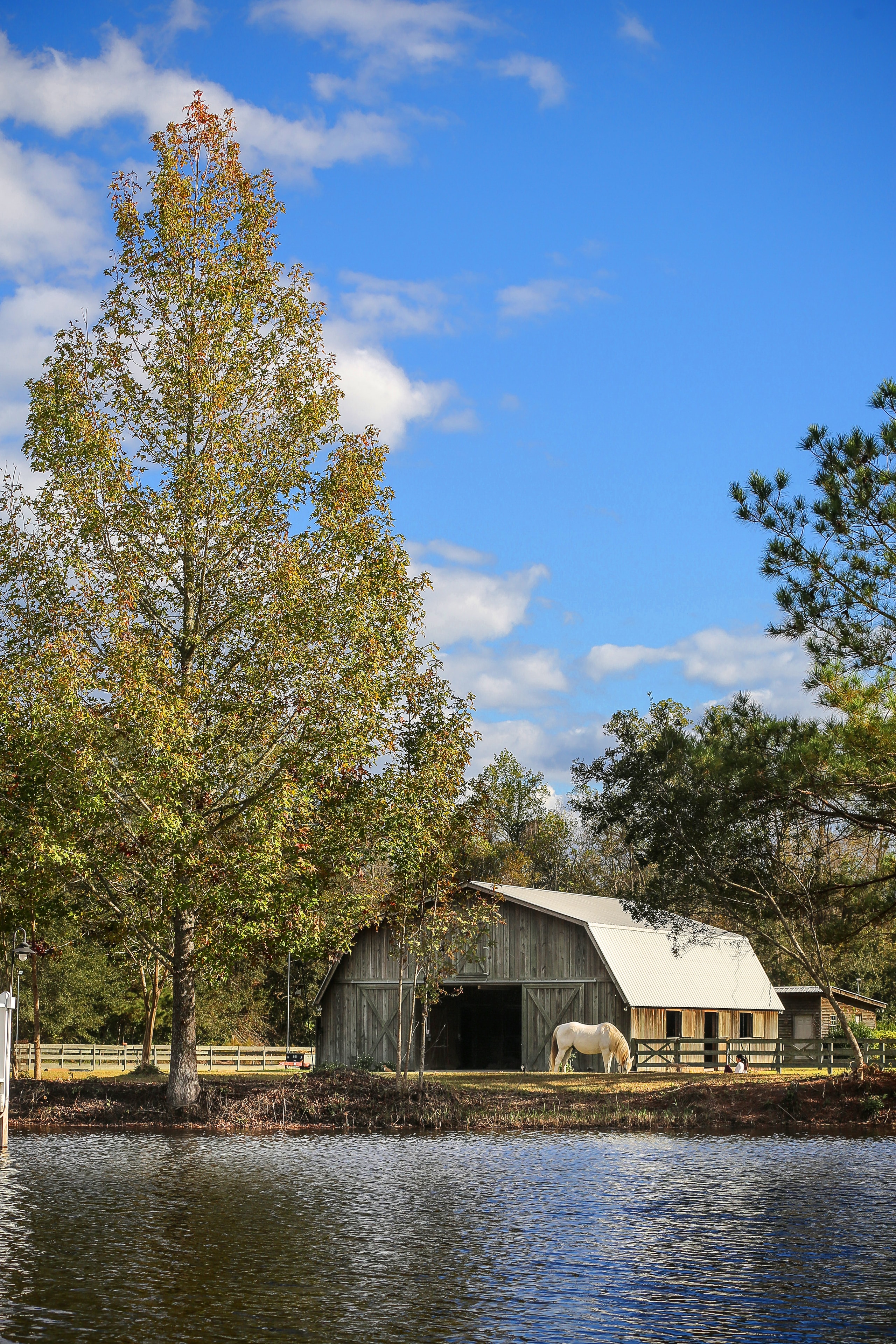 Wedding couple at Mill Creek Equestrian Center