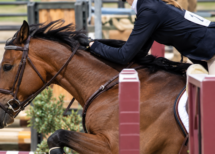 English riding equitation and flatwork